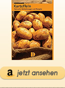 Kartoffeln Herkunft, Heilwirkung und Rezepte
